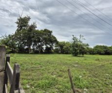 ÁREA DE 520.000,00,00 M² NA PENHA TOTALMENTE ENCERIDA NO PERIMETRO URBANO.