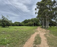 ÁREA DE 520.000,00,00 M² NA PENHA TOTALMENTE ENCERIDA NO PERIMETRO URBANO.