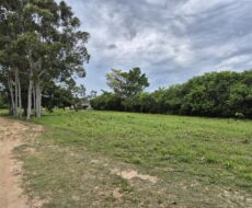 ÁREA DE 520.000,00,00 M² NA PENHA TOTALMENTE ENCERIDA NO PERIMETRO URBANO.