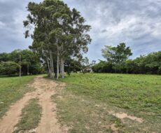 ÁREA DE 520.000,00,00 M² NA PENHA TOTALMENTE ENCERIDA NO PERIMETRO URBANO.