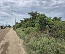 ÁREA DE 520.000,00,00 M² NA PENHA TOTALMENTE ENCERIDA NO PERIMETRO URBANO.