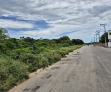 ÁREA DE 520.000,00,00 M² NA PENHA TOTALMENTE ENCERIDA NO PERIMETRO URBANO.