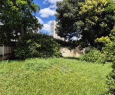 CASA NA RUA TENENTE CORONEL CARDOSO, Nº , CENTRO (ao lado do Hortifruti)