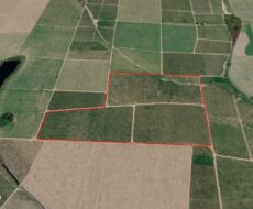 SÍTIO 2.5 ALQUEIRES EM TRAVESSÃO NA LOCALIDADE DE CAHORRO D’ÁGUA À 7 KM DE TRAVESSÕA.