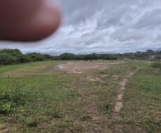 ÁREA NA BR – 101 (CAMPOS – RIO) À 600,00 METROS DO SHOPPING ESTRADA COM 186.000,00 M².