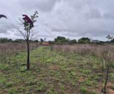 ÁREA NA BR – 101 (CAMPOS – RIO) À 600,00 METROS DO SHOPPING ESTRADA COM 186.000,00 M².
