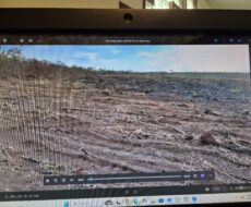 FAZENDA DE 2.200 HÁ EM PEDRA AZUL MINAS GERAIS À 6 KM DA CIDADE DE DIVISA ALEGRE DE MINAS GERAIS COMARCA DE PEDRA AZUL.