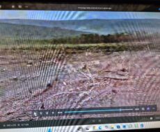 FAZENDA DE 2.200 HÁ EM PEDRA AZUL MINAS GERAIS À 6 KM DA CIDADE DE DIVISA ALEGRE DE MINAS GERAIS COMARCA DE PEDRA AZUL.
