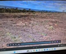 FAZENDA DE 2.200 HÁ EM PEDRA AZUL MINAS GERAIS À 6 KM DA CIDADE DE DIVISA ALEGRE DE MINAS GERAIS COMARCA DE PEDRA AZUL.