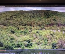 FAZENDA DE 2.200 HÁ EM PEDRA AZUL MINAS GERAIS À 6 KM DA CIDADE DE DIVISA ALEGRE DE MINAS GERAIS COMARCA DE PEDRA AZUL.