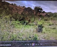 FAZENDA DE 2.200 HÁ EM PEDRA AZUL MINAS GERAIS À 6 KM DA CIDADE DE DIVISA ALEGRE DE MINAS GERAIS COMARCA DE PEDRA AZUL.