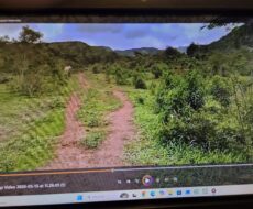 FAZENDA DE 2.200 HÁ EM PEDRA AZUL MINAS GERAIS À 6 KM DA CIDADE DE DIVISA ALEGRE DE MINAS GERAIS COMARCA DE PEDRA AZUL.