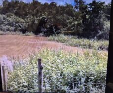 FAZENDA DE 2.200 HÁ EM PEDRA AZUL MINAS GERAIS À 6 KM DA CIDADE DE DIVISA ALEGRE DE MINAS GERAIS COMARCA DE PEDRA AZUL.
