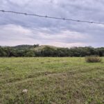 PROPRIEDADE DE 24 ALQUEIRES EM DORES DE MACABÚ.