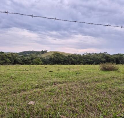PROPRIEDADE DE 24 ALQUEIRES EM DORES DE MACABÚ.