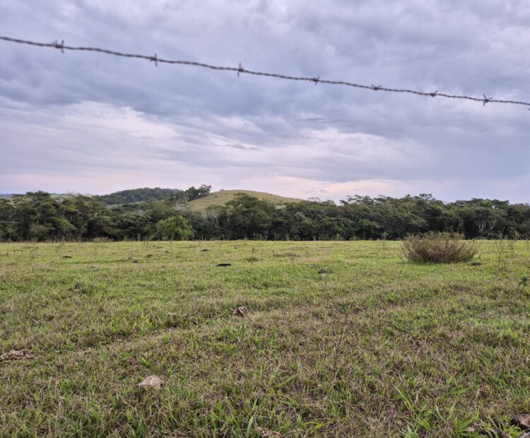 PROPRIEDADE DE 24 ALQUEIRES EM DORES DE MACABÚ.