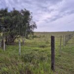 PROPRIEDADE DE 24 ALQUEIRES EM DORES DE MACABÚ.