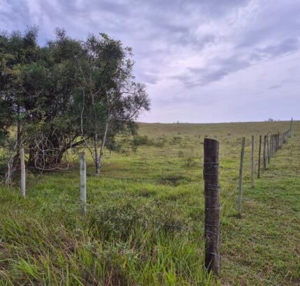 PROPRIEDADE DE 24 ALQUEIRES EM DORES DE MACABÚ.