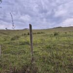 PROPRIEDADE DE 24 ALQUEIRES EM DORES DE MACABÚ.