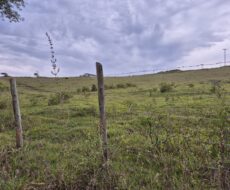 PROPRIEDADE DE 24 ALQUEIRES EM DORES DE MACABÚ.