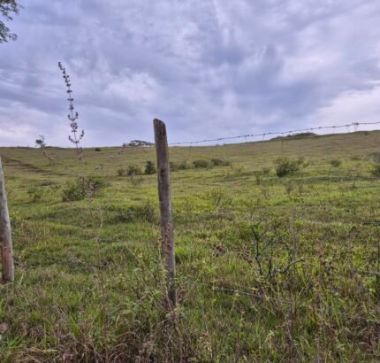 PROPRIEDADE DE 24 ALQUEIRES EM DORES DE MACABÚ.
