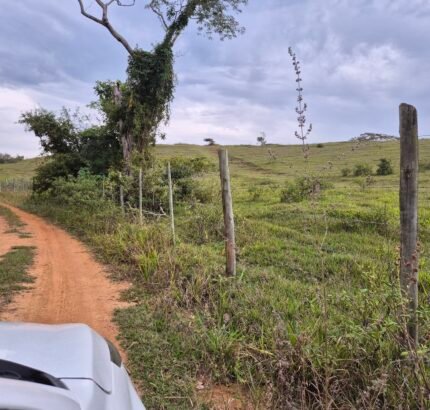 PROPRIEDADE DE 24 ALQUEIRES EM DORES DE MACABÚ.