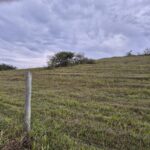 PROPRIEDADE DE 24 ALQUEIRES EM DORES DE MACABÚ.