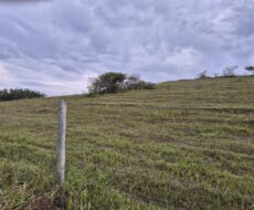 PROPRIEDADE DE 24 ALQUEIRES EM DORES DE MACABÚ.