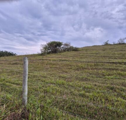 PROPRIEDADE DE 24 ALQUEIRES EM DORES DE MACABÚ.