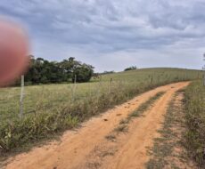PROPRIEDADE DE 24 ALQUEIRES EM DORES DE MACABÚ.