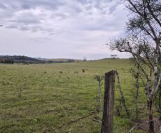 PROPRIEDADE DE 24 ALQUEIRES EM DORES DE MACABÚ.
