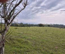 PROPRIEDADE DE 24 ALQUEIRES EM DORES DE MACABÚ.