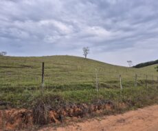 PROPRIEDADE DE 24 ALQUEIRES EM DORES DE MACABÚ.