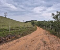 PROPRIEDADE DE 24 ALQUEIRES EM DORES DE MACABÚ.