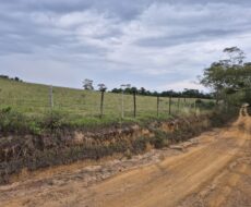 PROPRIEDADE DE 24 ALQUEIRES EM DORES DE MACABÚ.