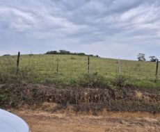 PROPRIEDADE DE 24 ALQUEIRES EM DORES DE MACABÚ.
