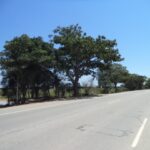 ÁREA DE 153.000,00 M² NA RJ-216 (ESTRADA DO AÇÚCAR – RODOVIA CAMPOS X FAROL), GOYTACAZES .