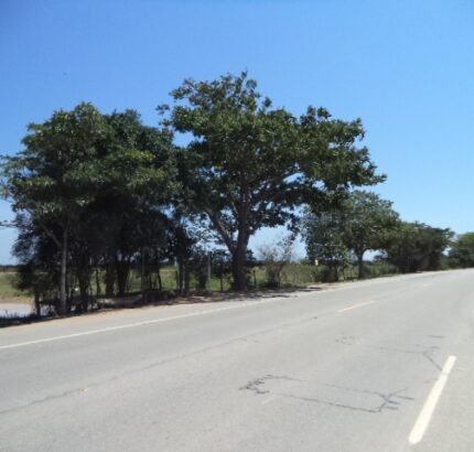 ÁREA DE 153.000,00 M² NA RJ-216 (ESTRADA DO AÇÚCAR – RODOVIA CAMPOS X FAROL), GOYTACAZES .
