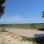 ÁREA DE 153.000,00 M² NA RJ-216 (ESTRADA DO AÇÚCAR – RODOVIA CAMPOS X FAROL), GOYTACAZES .