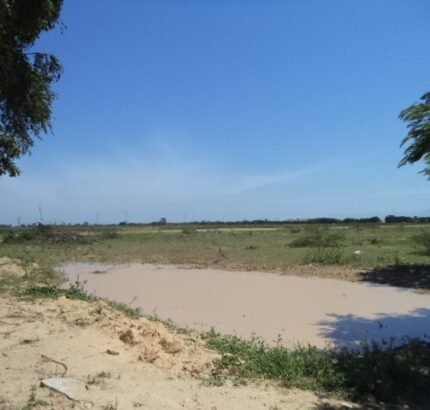 ÁREA DE 153.000,00 M² NA RJ-216 (ESTRADA DO AÇÚCAR – RODOVIA CAMPOS X FAROL), GOYTACAZES .