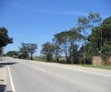 ÁREA DE 153.000,00 M² NA RJ-216 (ESTRADA DO AÇÚCAR – RODOVIA CAMPOS X FAROL), GOYTACAZES .