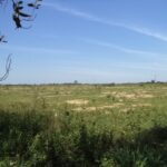 ÁREA DE 153.000,00 M² NA RJ-216 (ESTRADA DO AÇÚCAR – RODOVIA CAMPOS X FAROL), GOYTACAZES .