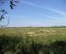 ÁREA DE 153.000,00 M² NA RJ-216 (ESTRADA DO AÇÚCAR – RODOVIA CAMPOS X FAROL), GOYTACAZES .