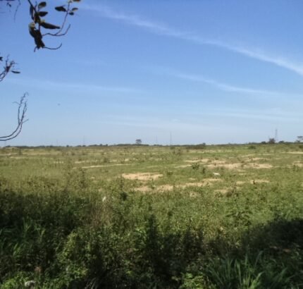 ÁREA DE 153.000,00 M² NA RJ-216 (ESTRADA DO AÇÚCAR – RODOVIA CAMPOS X FAROL), GOYTACAZES .