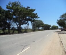 ÁREA DE 153.000,00 M² NA RJ-216 (ESTRADA DO AÇÚCAR – RODOVIA CAMPOS X FAROL), GOYTACAZES .