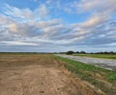 VENDO/ALUGO ÁREAS COMERCIAIS/INDUSTRIAIS NA RJ 240 (ESTRADA DO PORTO DO AÇU /SÃO JOÃO DA BARRA) – À 900,00M DA BR 356.