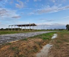 VENDO/ALUGO ÁREAS COMERCIAIS/INDUSTRIAIS NA RJ 240 (ESTRADA DO PORTO DO AÇU /SÃO JOÃO DA BARRA) – À 900,00M DA BR 356.